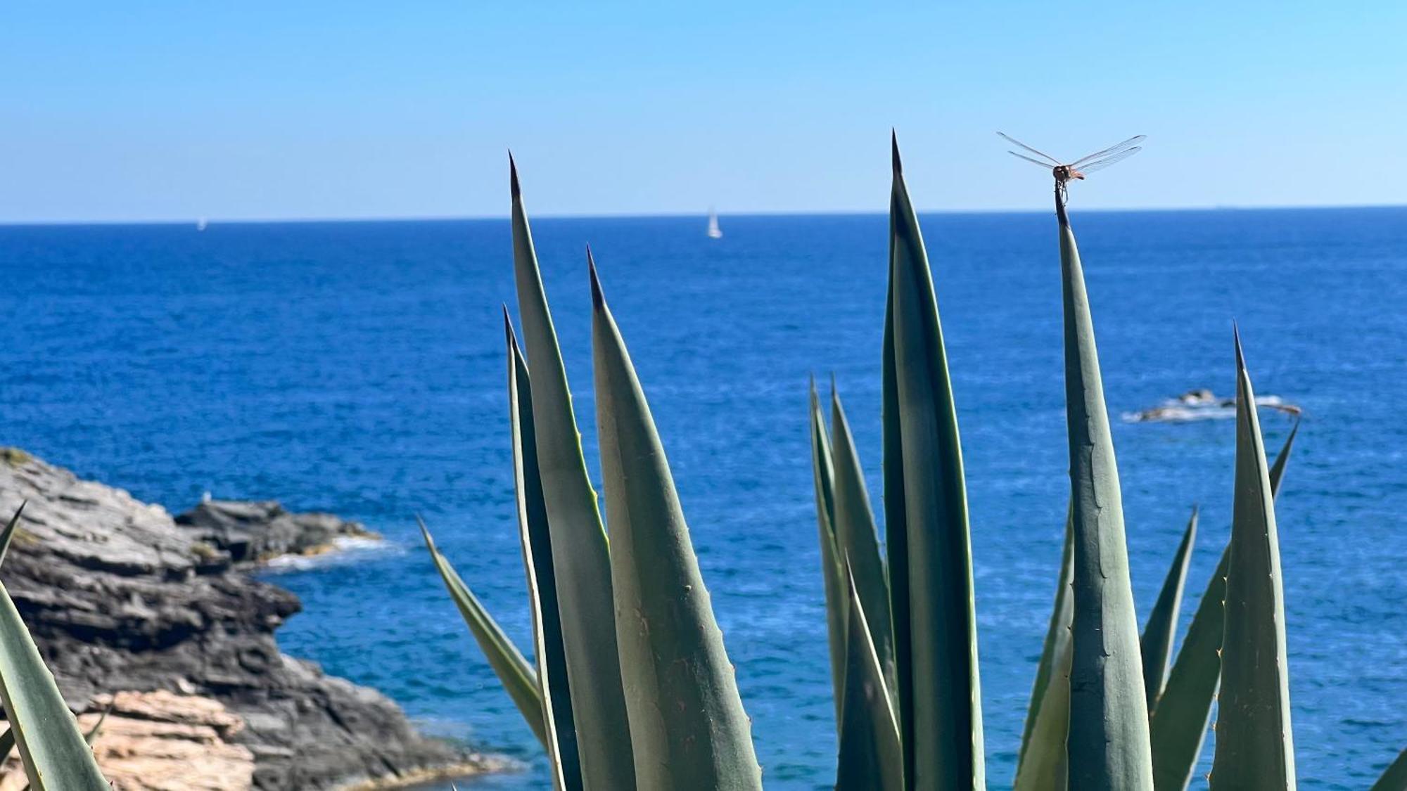 Turquesa Del Mar - Sun & Beach & Golf & Bike - Large Terrace Ground-Floor Spanish Apartment Dehesa de Campoamor  Ngoại thất bức ảnh